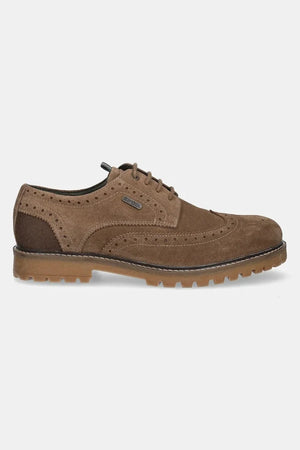 Zapatos de medio corte Barbour Marble