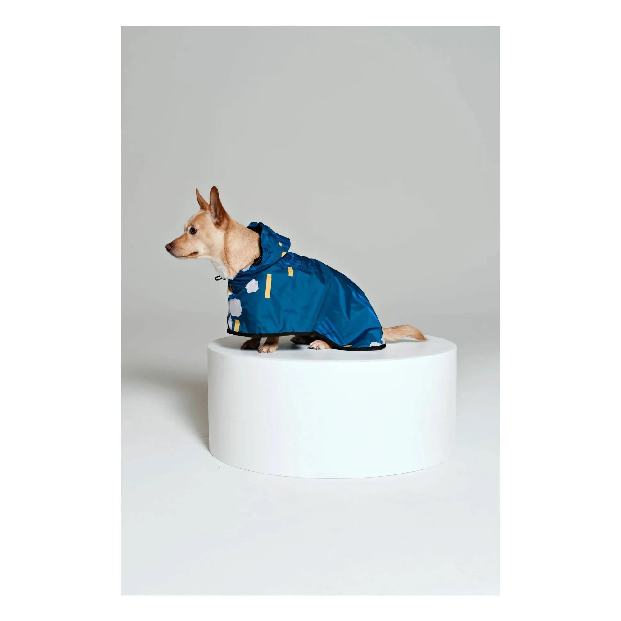 Rainkiss - Capa de lluvia impermeable para perros Japanese Blossom | Azul