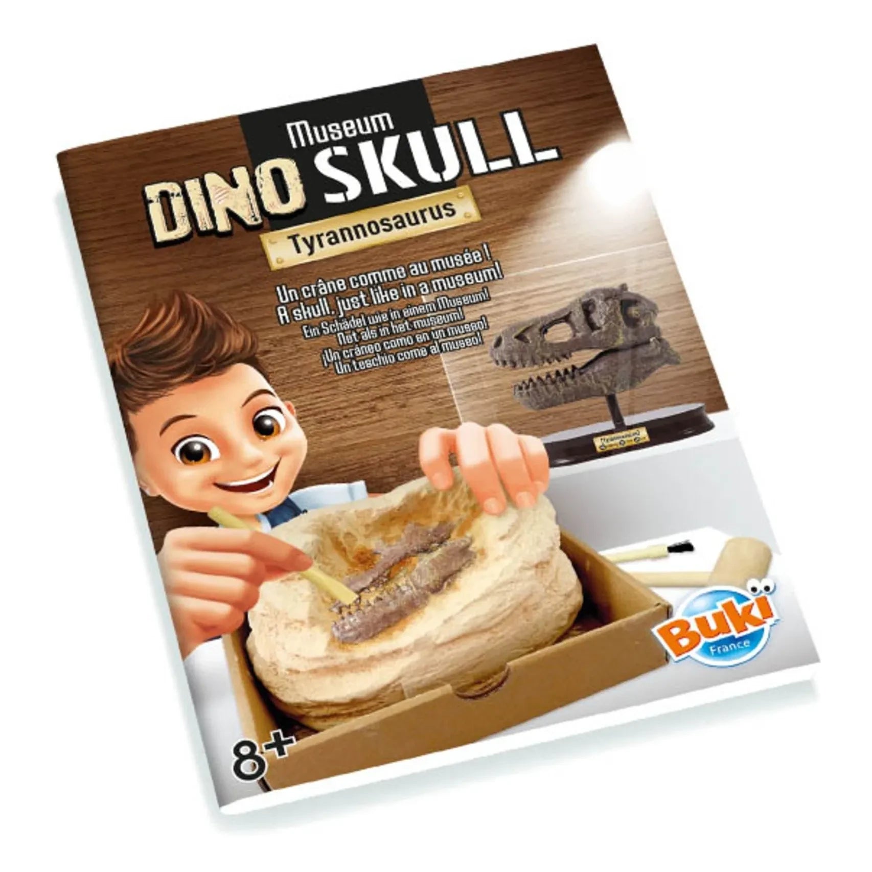 Buki - Kit de arqueología - Cráneo de dinosaurio de museo