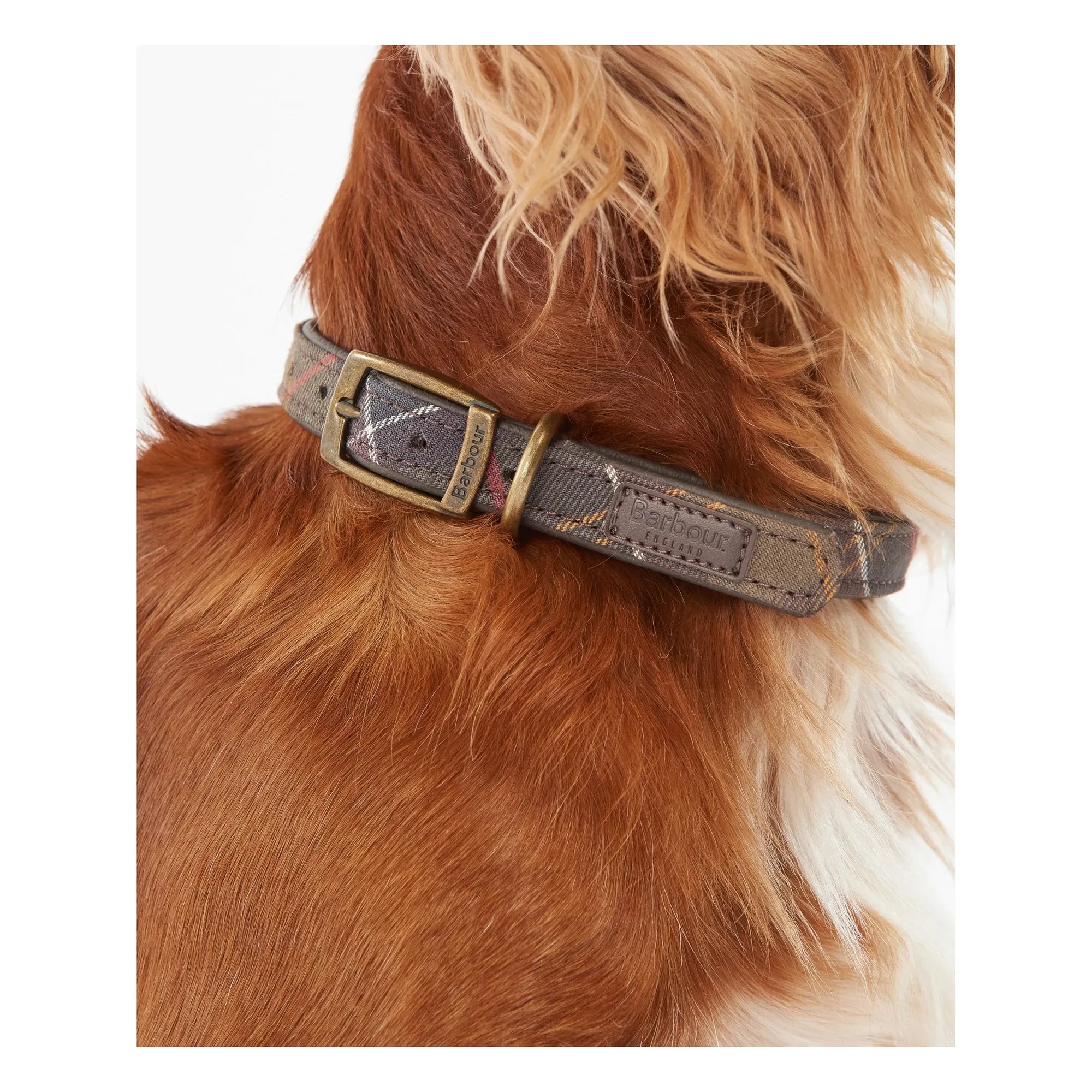 Barbour - Collar para perro de tartán | Beige oscuro y marrón