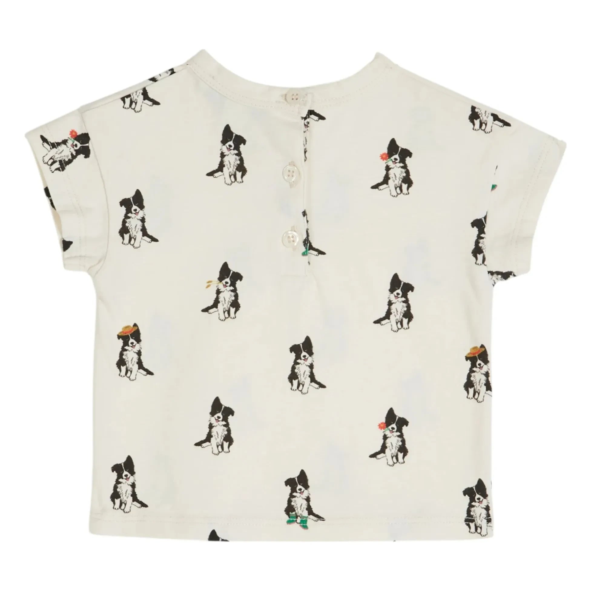 Emile et Ida - Camiseta Border Collie de algodón orgánico | Crema