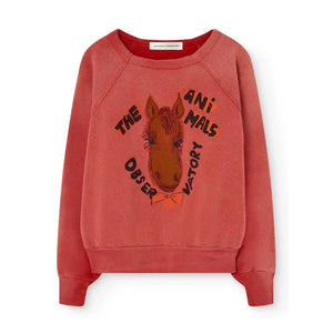 The Animals Observatory - Shark Horse Sweat | Rojo