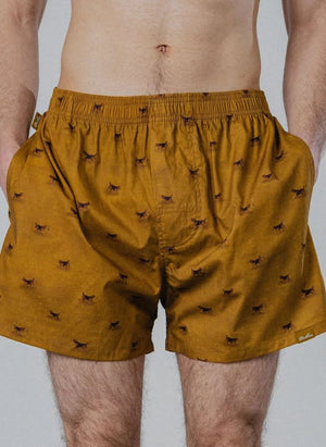 Pockies - Beagle Boxer | Hardal