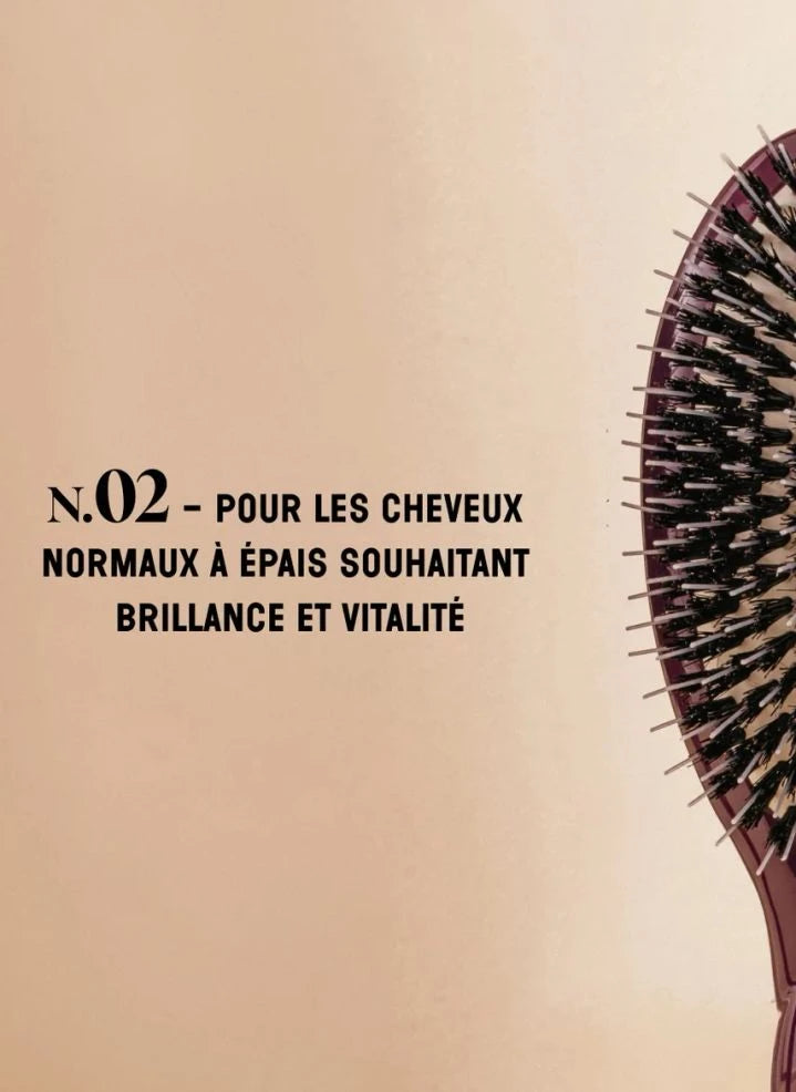 La Bonne Brosse - El Indispensable Cepillo para el Cabello No. 02 - Cuidado y Desenredo | Berenjena