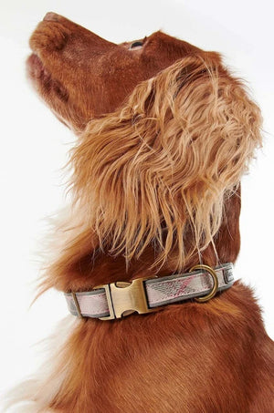 Collar para perros Barbour