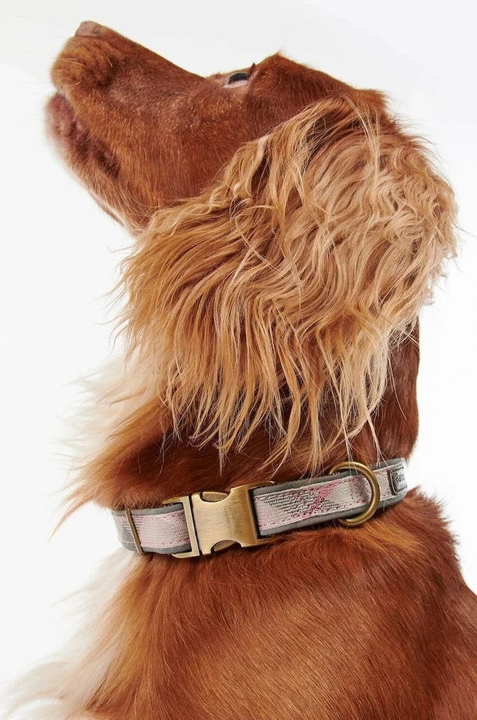 Collar para perros Barbour
