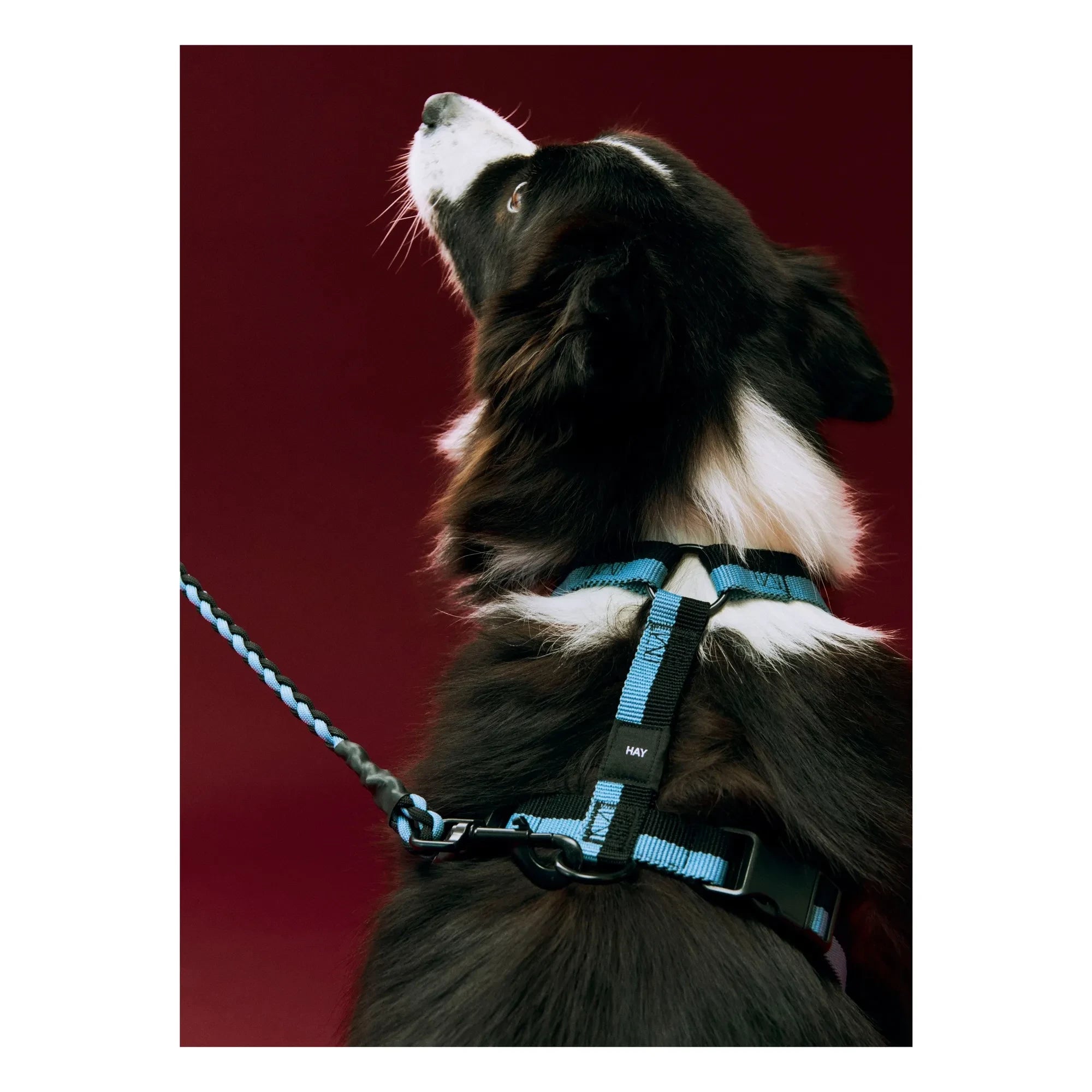 Hey - Collar Azul
