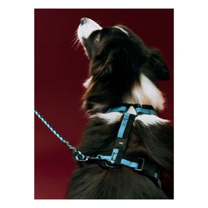 Hey - Collar Azul