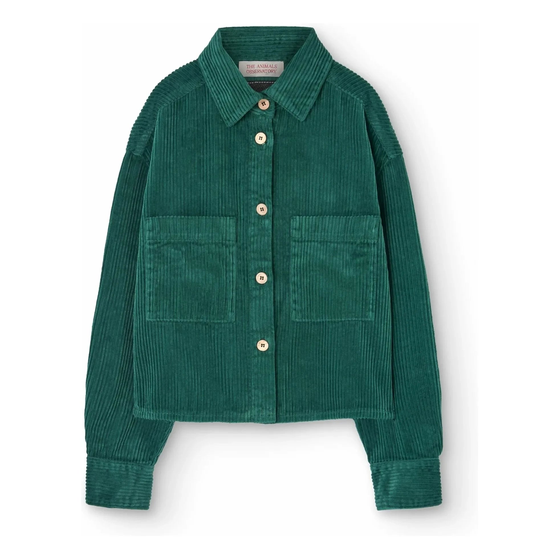 The Animals Observatory - Sobrecamisa Beabull | Verde cromado