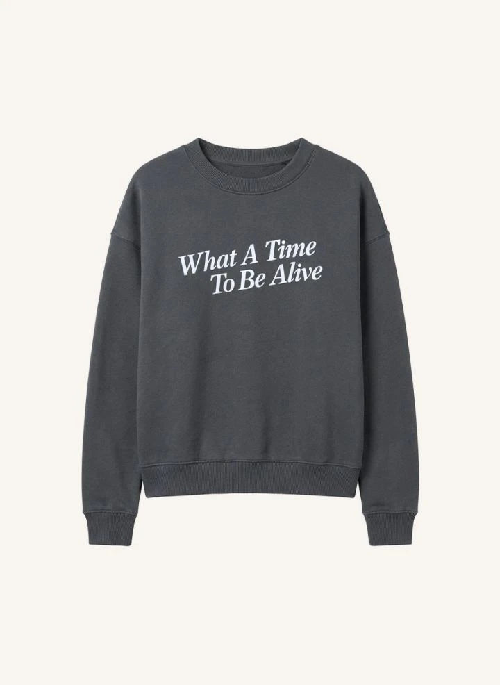 Cos I Said So - "What A Time" Organik Pamuklu Sweatshirt | Gri