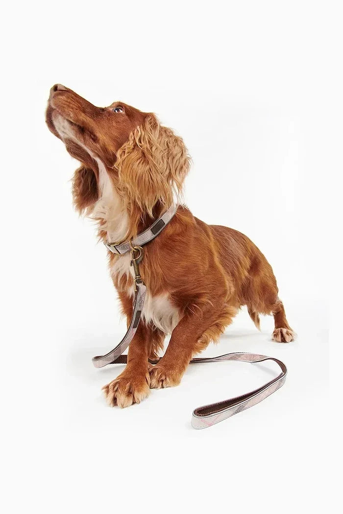 Correa para Perro Reflectante Barbour Tartan 100 cm