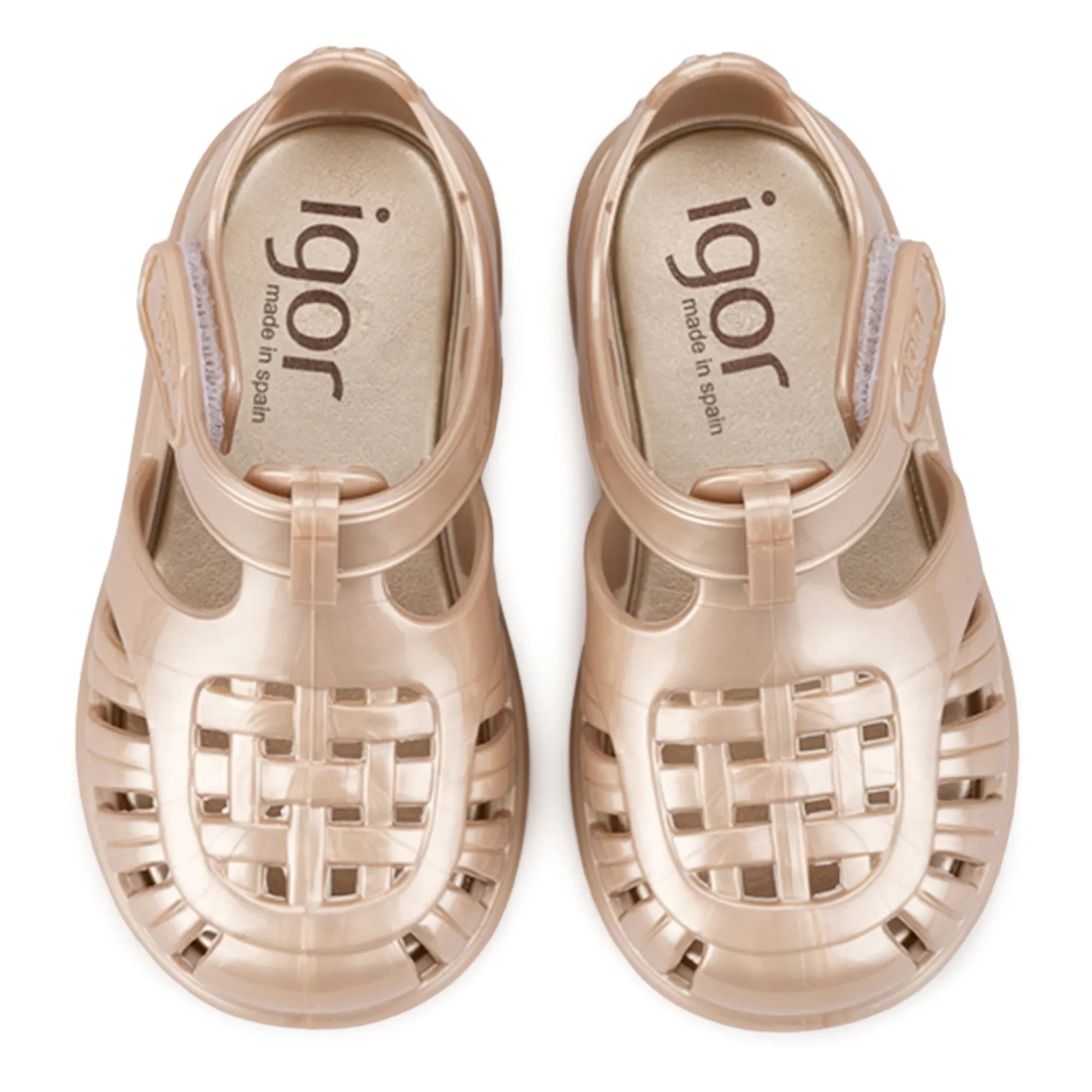 Igor - Zapatillas de Agua Tobby Brillante | Dorado
