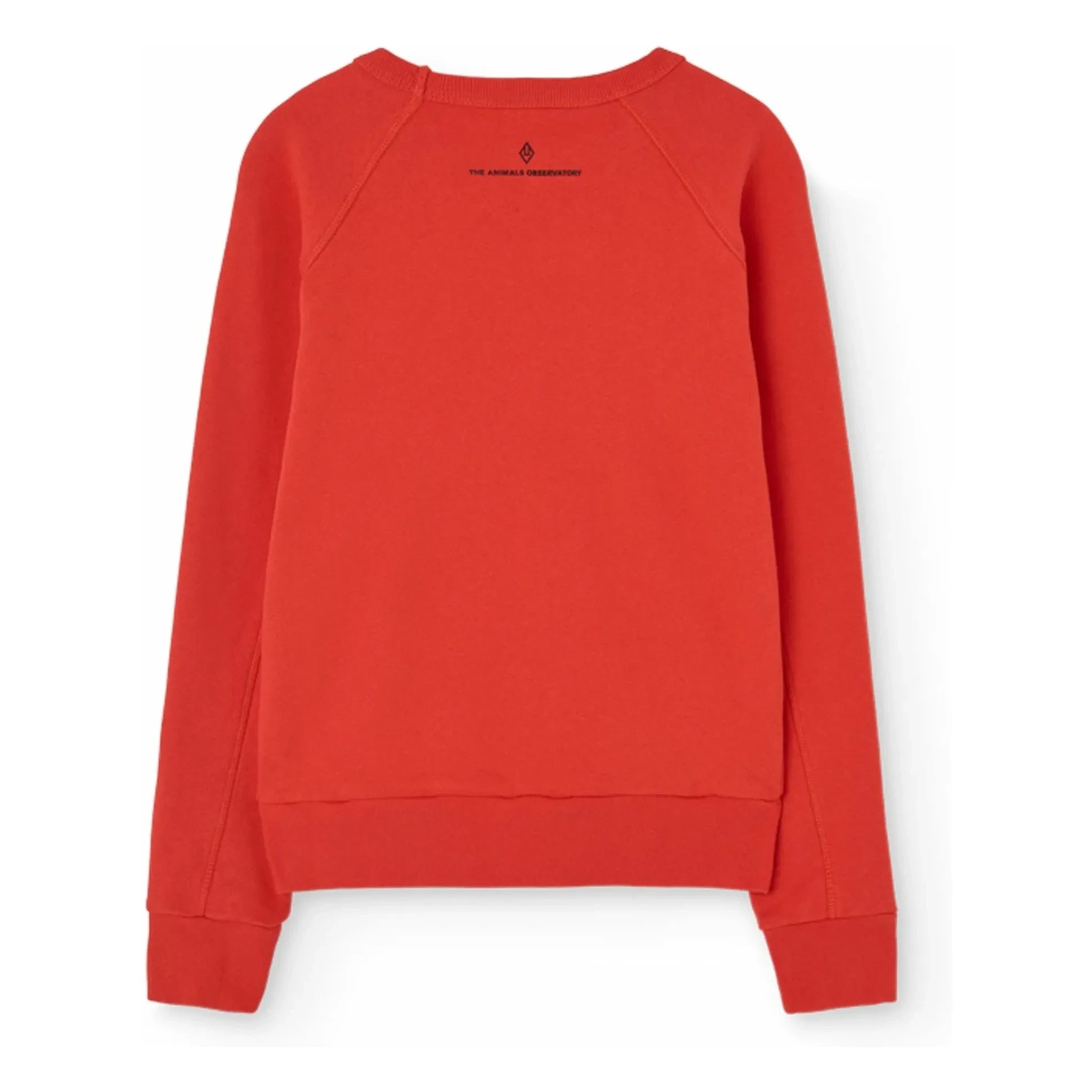 The Animals Observatory - Sweat Shark My Friends | Rojo
