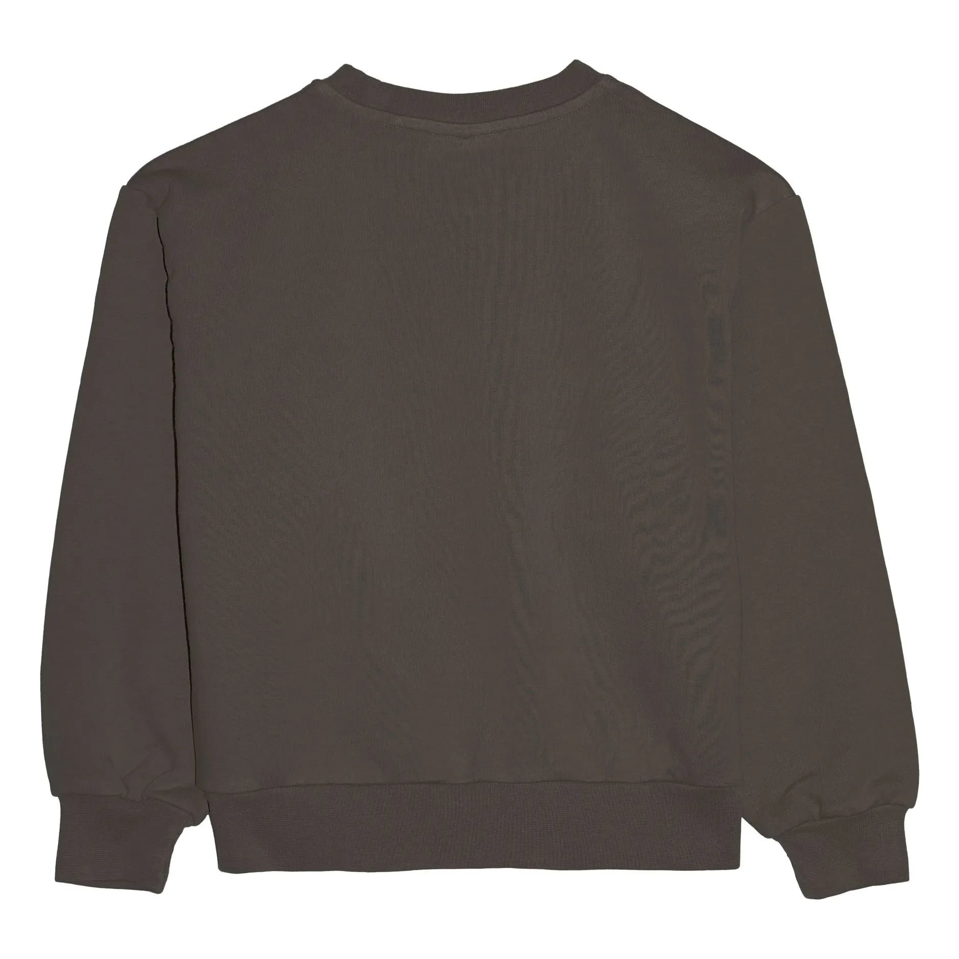 Smallable Kid - Sudadera de algodón orgánico Maia | Gris oscuro