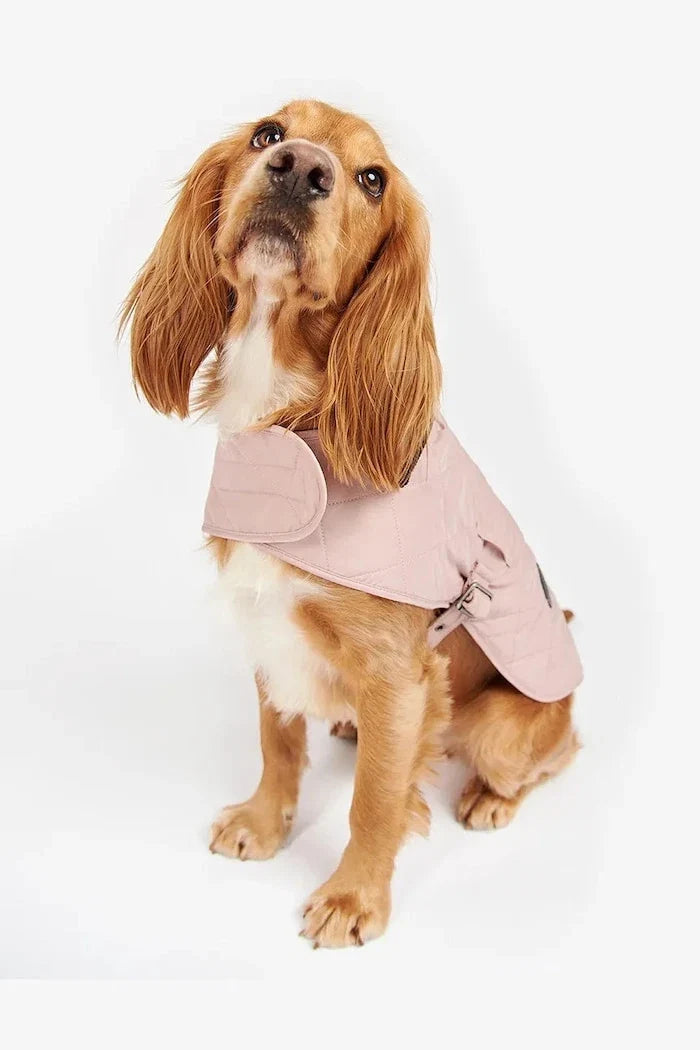 Chaqueta para perro Barbour
