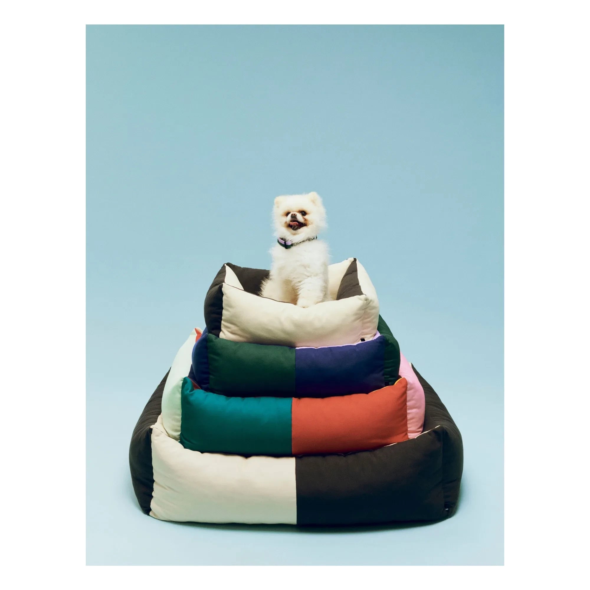 Hay - Cama para perros | Verde