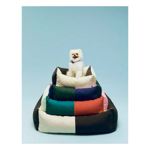 Hay - Cama para perros | Verde