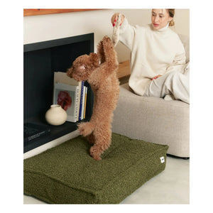 Cafide - Cama para perros Buckwheat | Verde