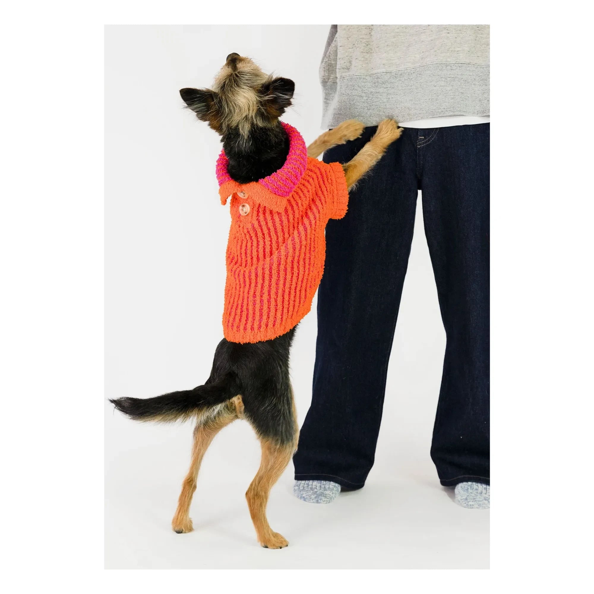 The Furry Folks - Pull Rib | Naranja