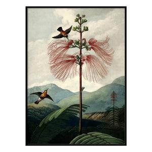 The Dybdahl Co. - Póster del árbol de las flores