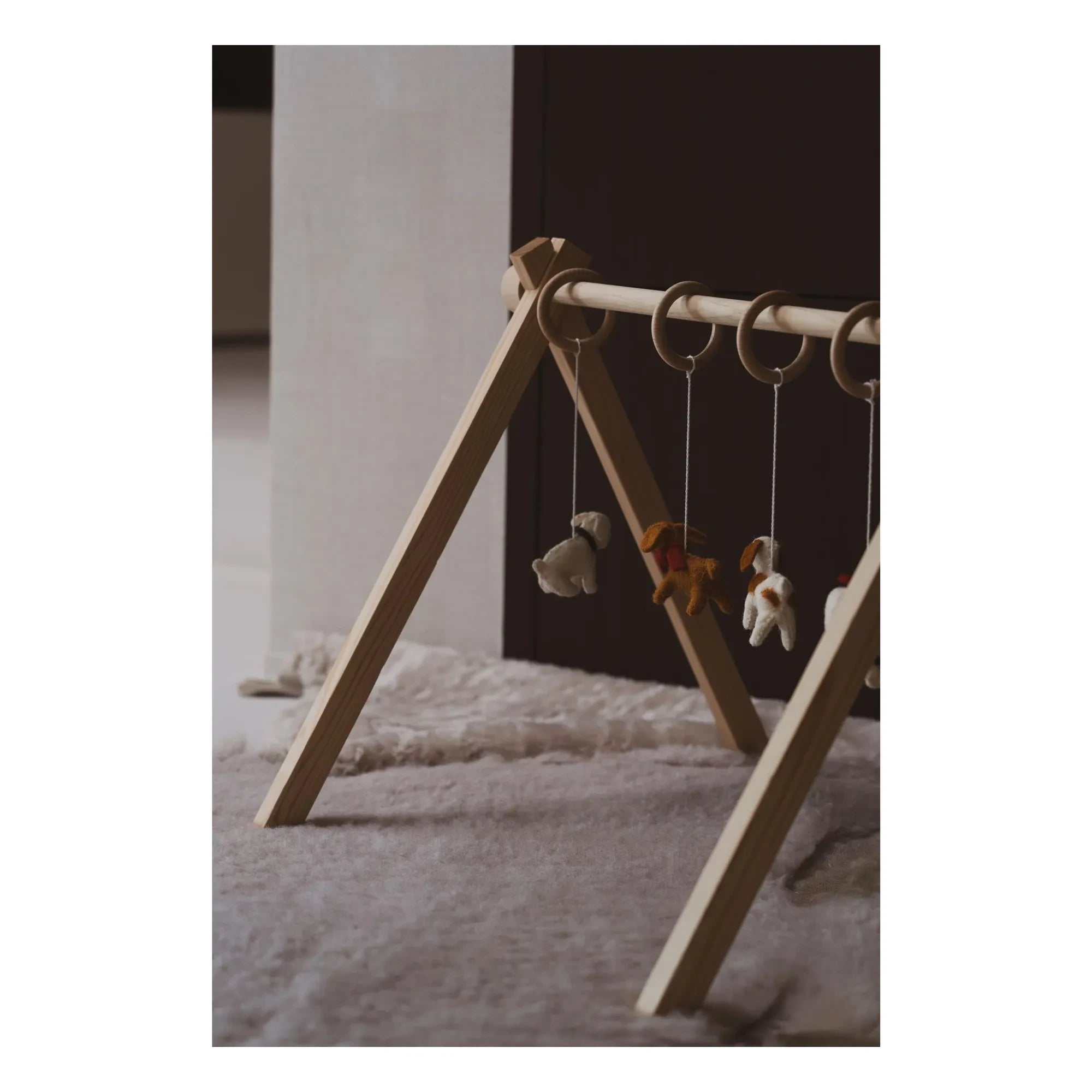 Quax - Juego de juguetes para correa de perro