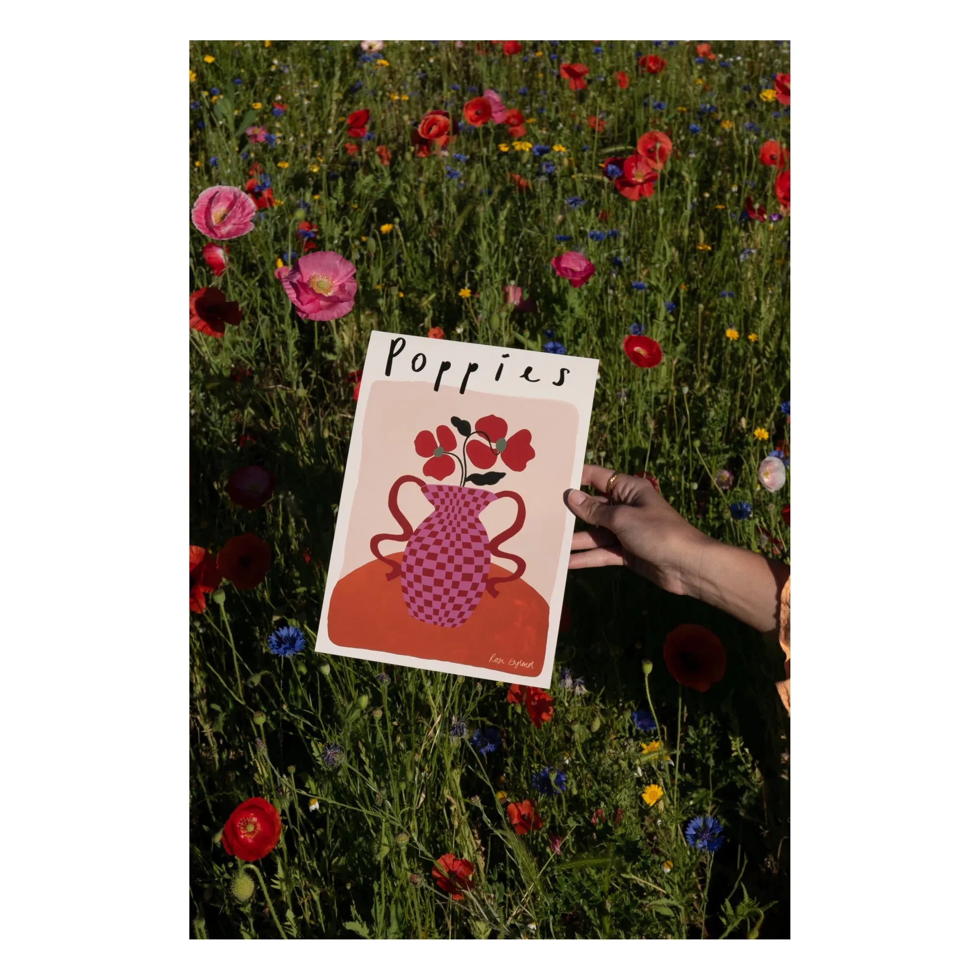 Rose England - Póster de amapolas rosas