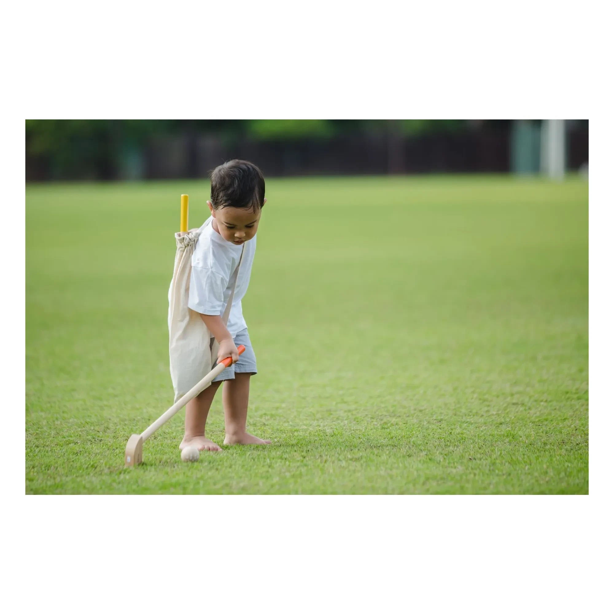 Plan Toys - Juego de minigolf