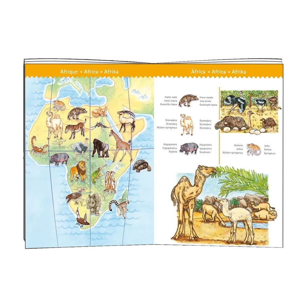 Djeco - Los animales y el libro del Puzzle World
