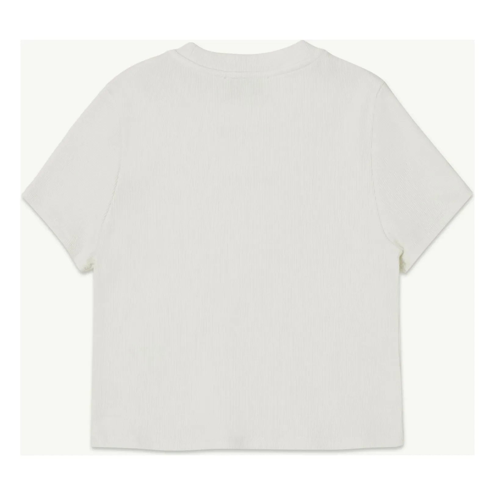 Main Story - Camiseta de algodón orgánico regular | Blanco
