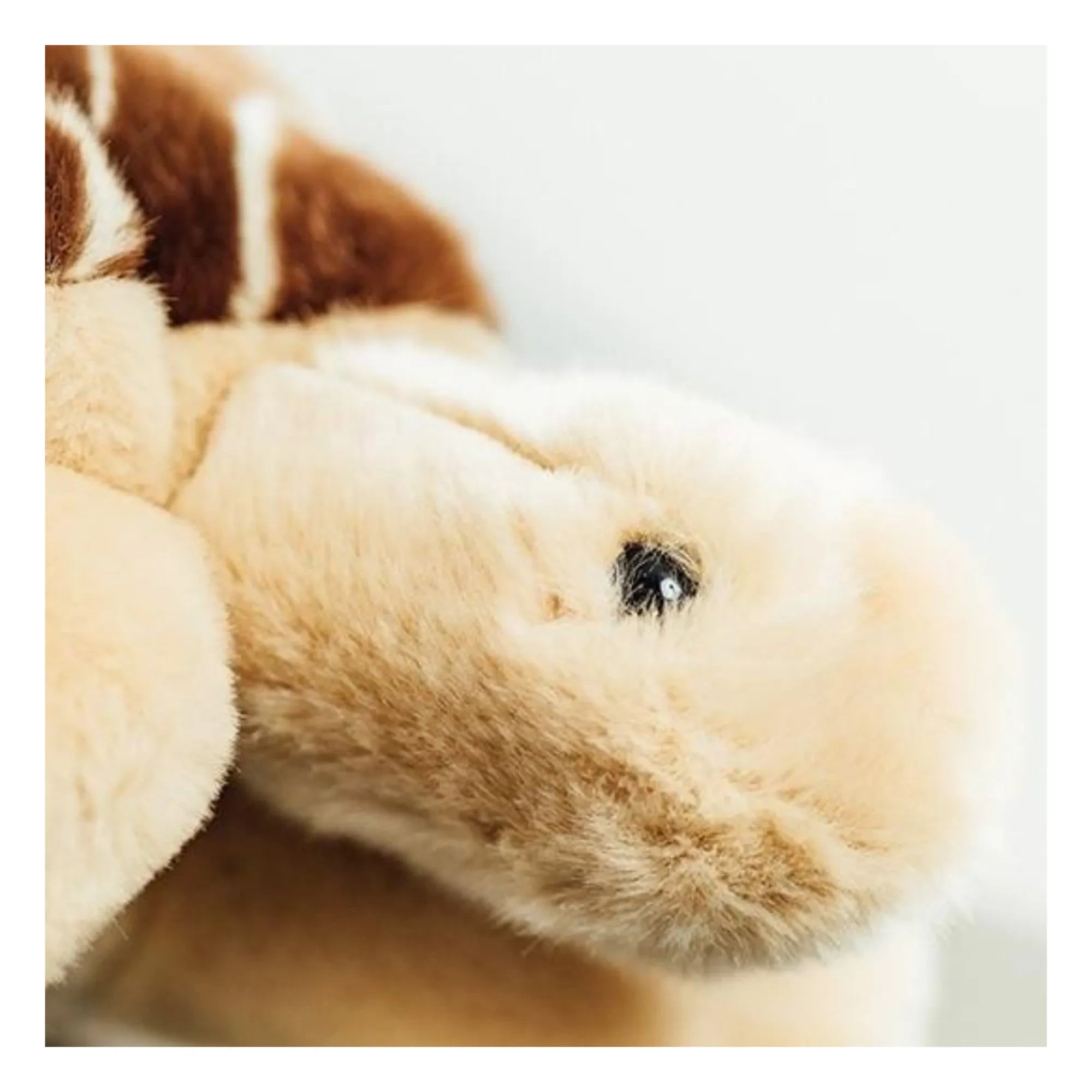 La Pelucherie - Peluche de tortuga Rosalie | Marrón