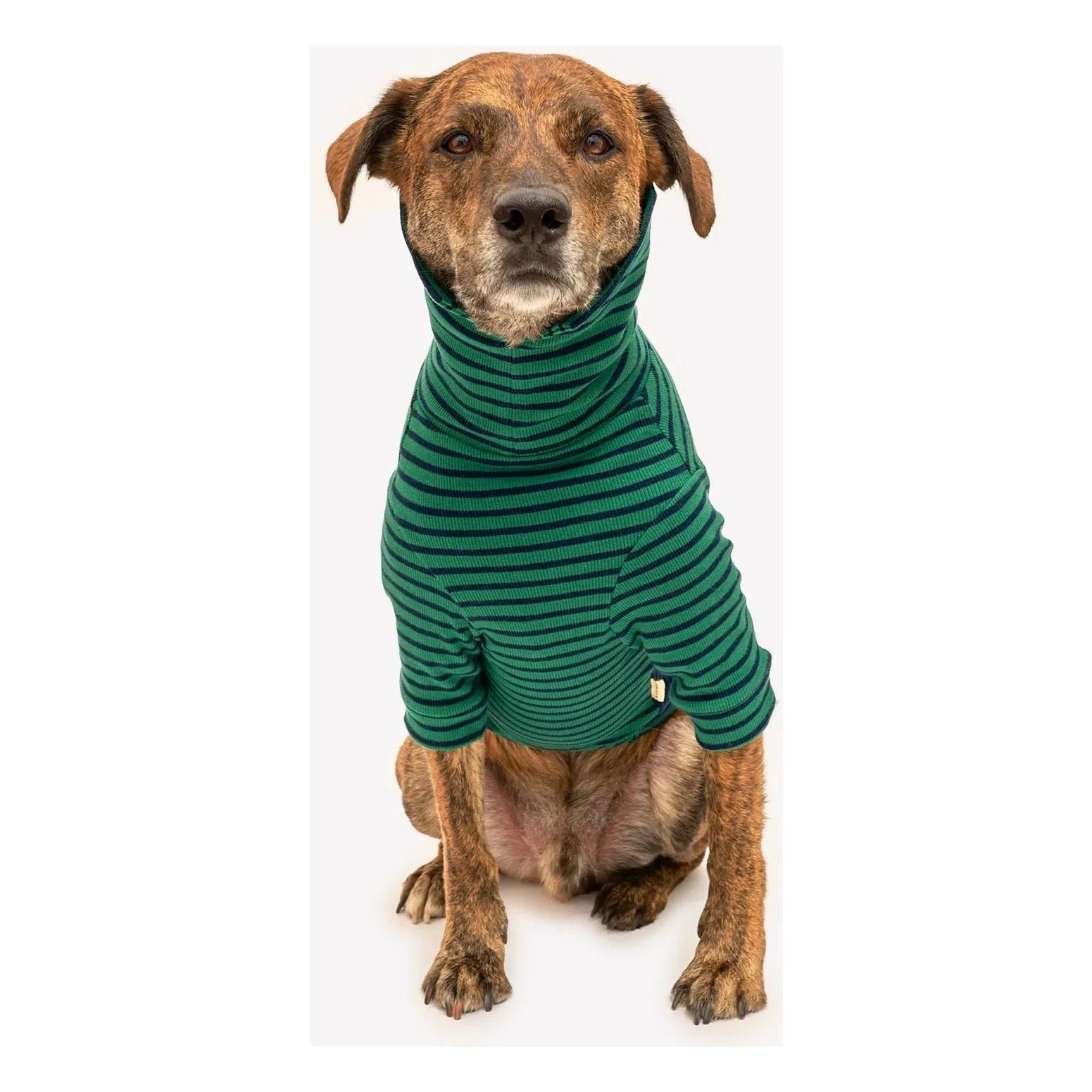 The Furry Folks - Suéter a rayas | Verde