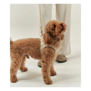 Cafide - Collar de perro de cuero vegano | Beige