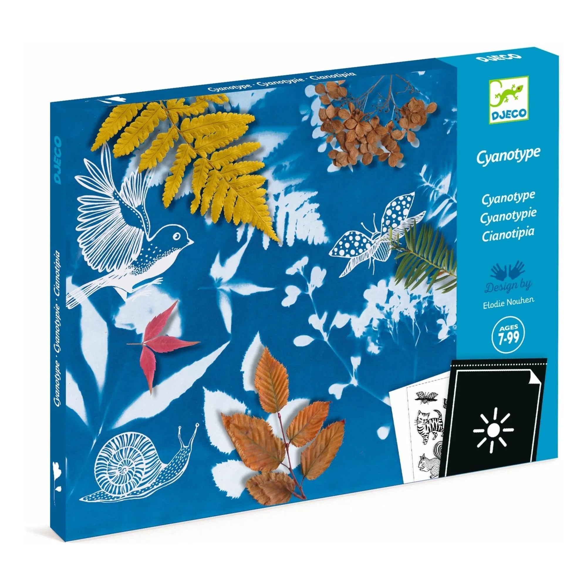 Djeco - Mi Primer Kit de Cianotipia