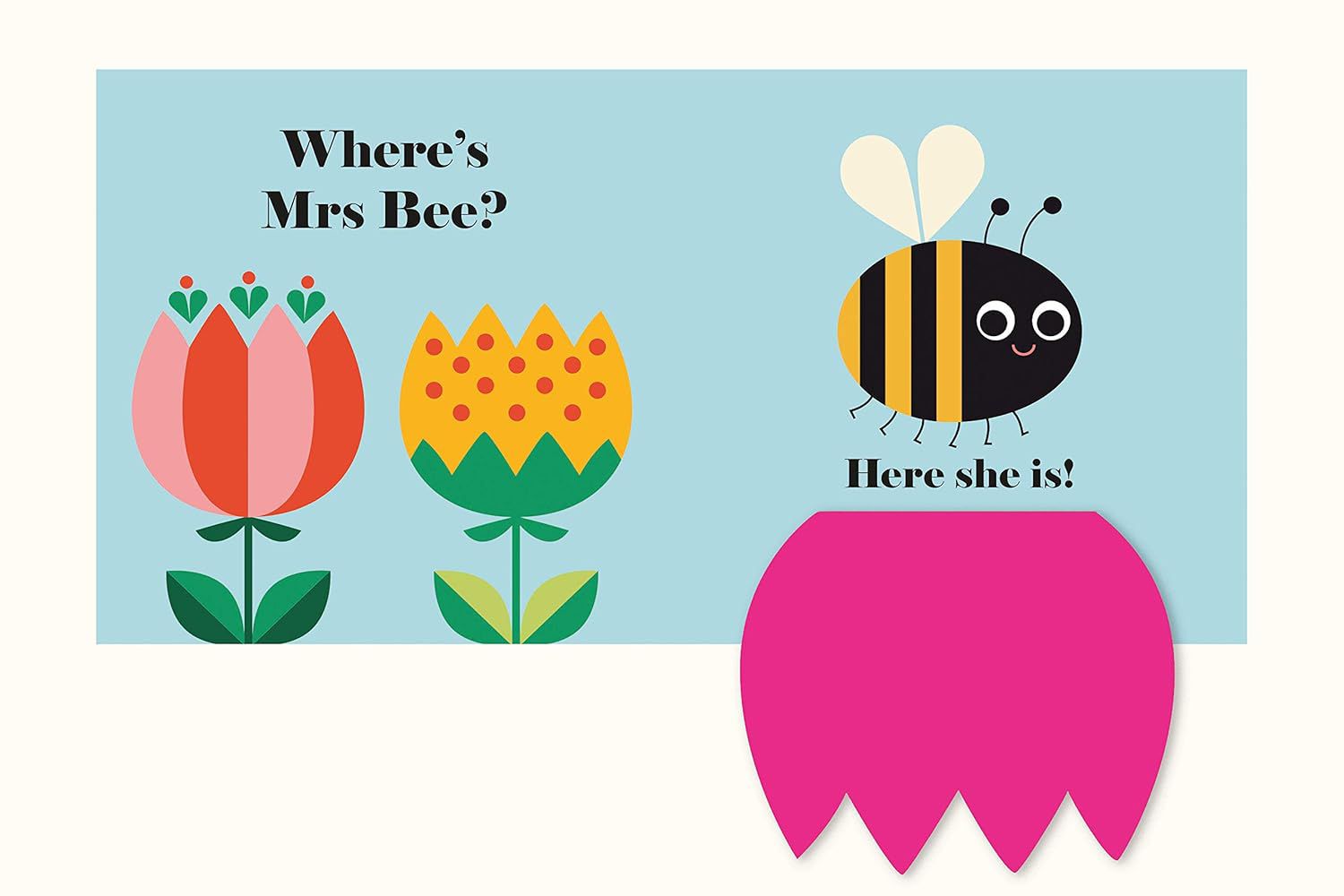 Nosy Crow - ¿Dónde está la Mariquita? Libro en inglés
