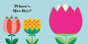 Nosy Crow - ¿Dónde está la Mariquita? Libro en inglés