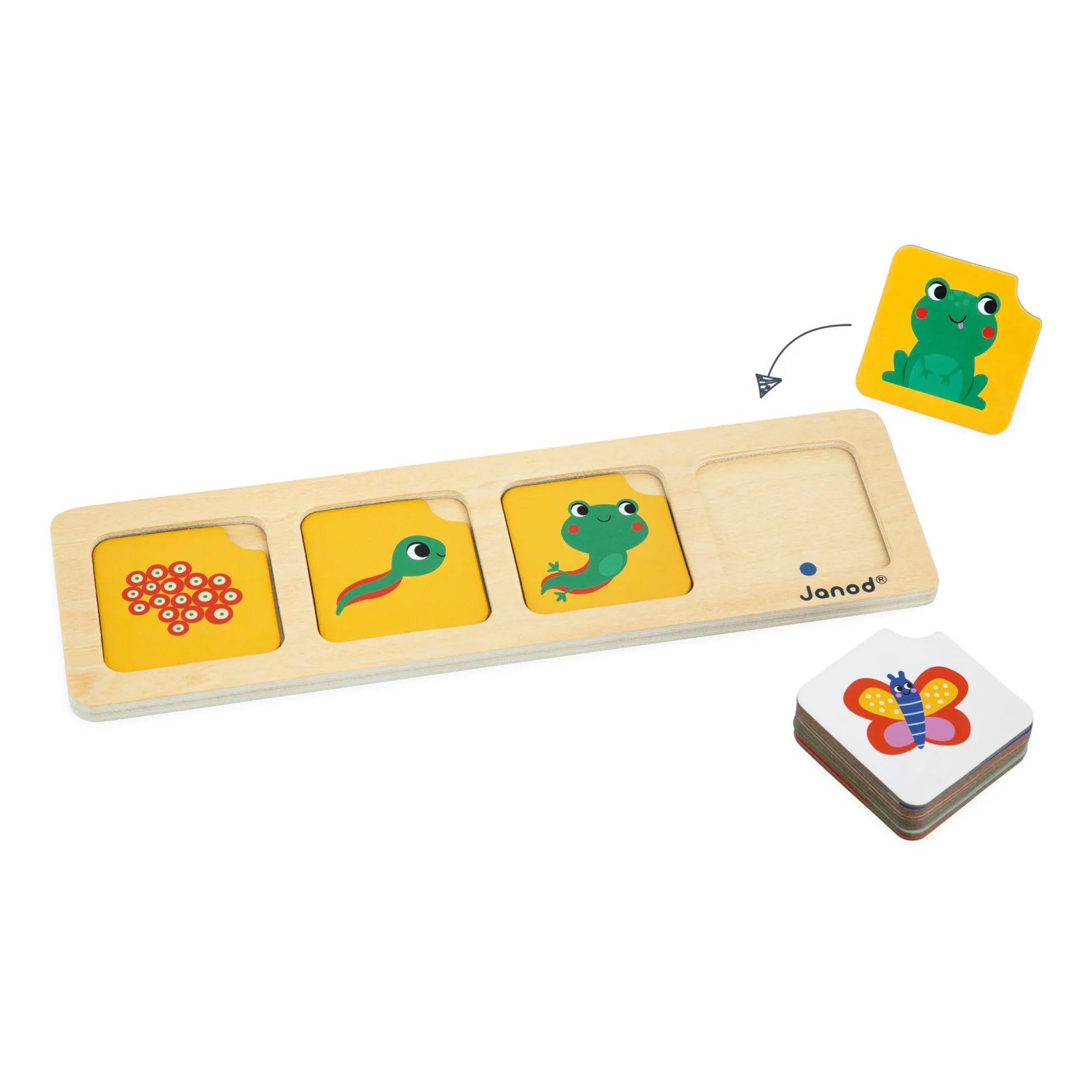 Janod - Tarjetas de secuencia del jardín
