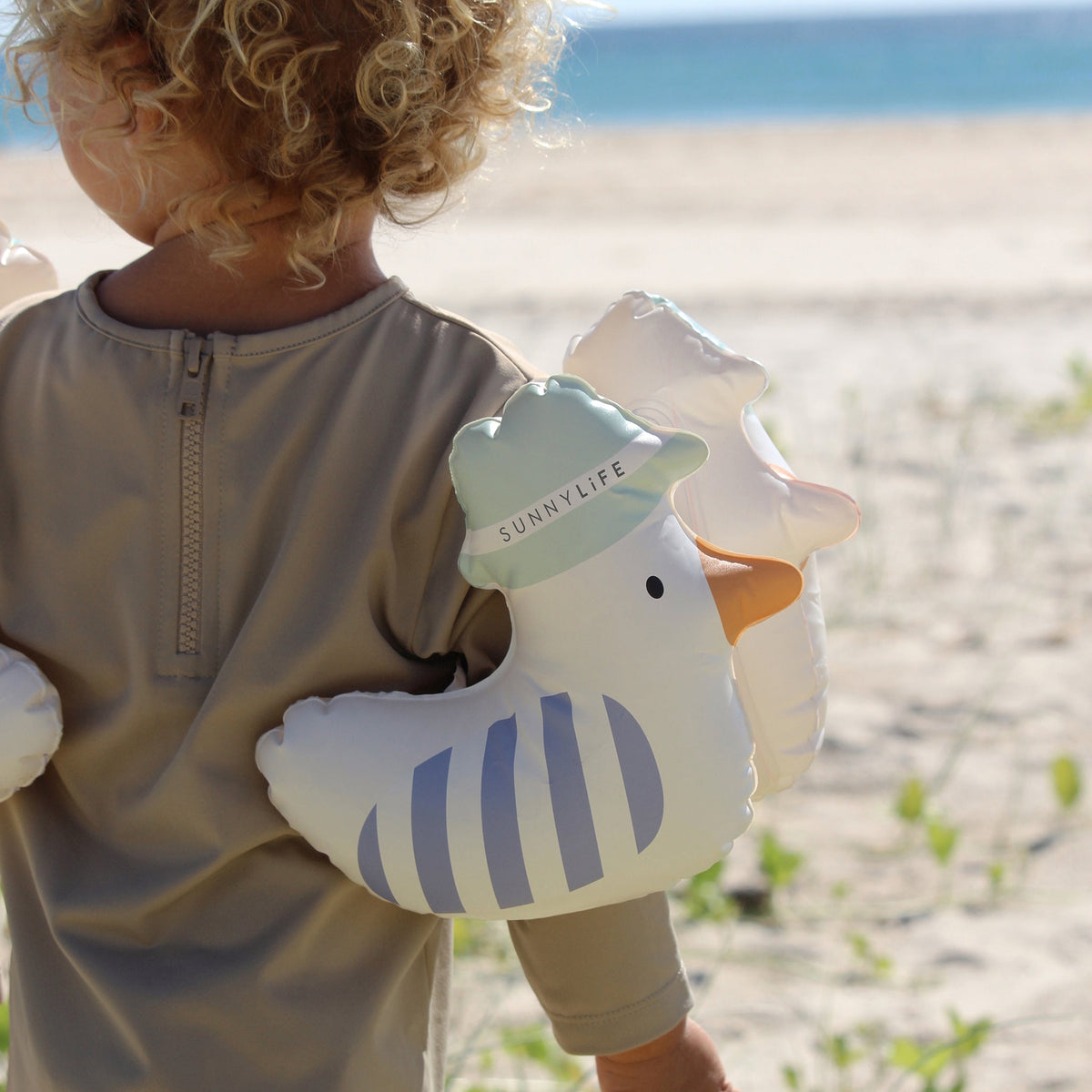 Sunnylife - Manguitos Hinchables de Natación para Niños Sammy la Gaviota