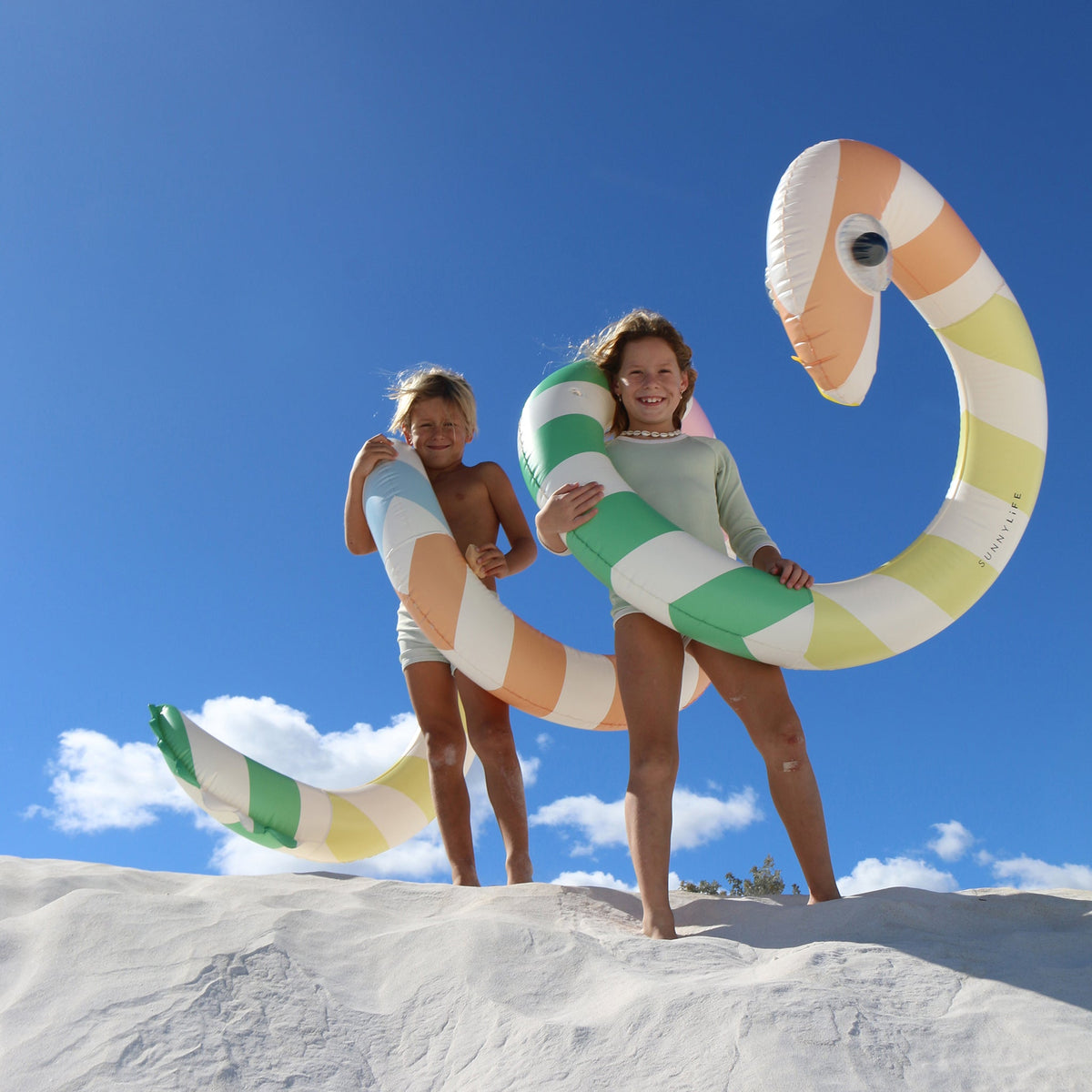 Sunnylife - Diversión en la piscina con la serpiente gigante inflable y tumbona